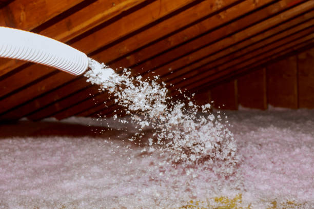 Best Garage Insulation Installation  in Ridgefield, WA