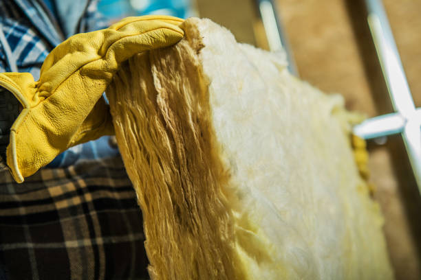 Best Home Insulation Services  in Ridgefield, WA